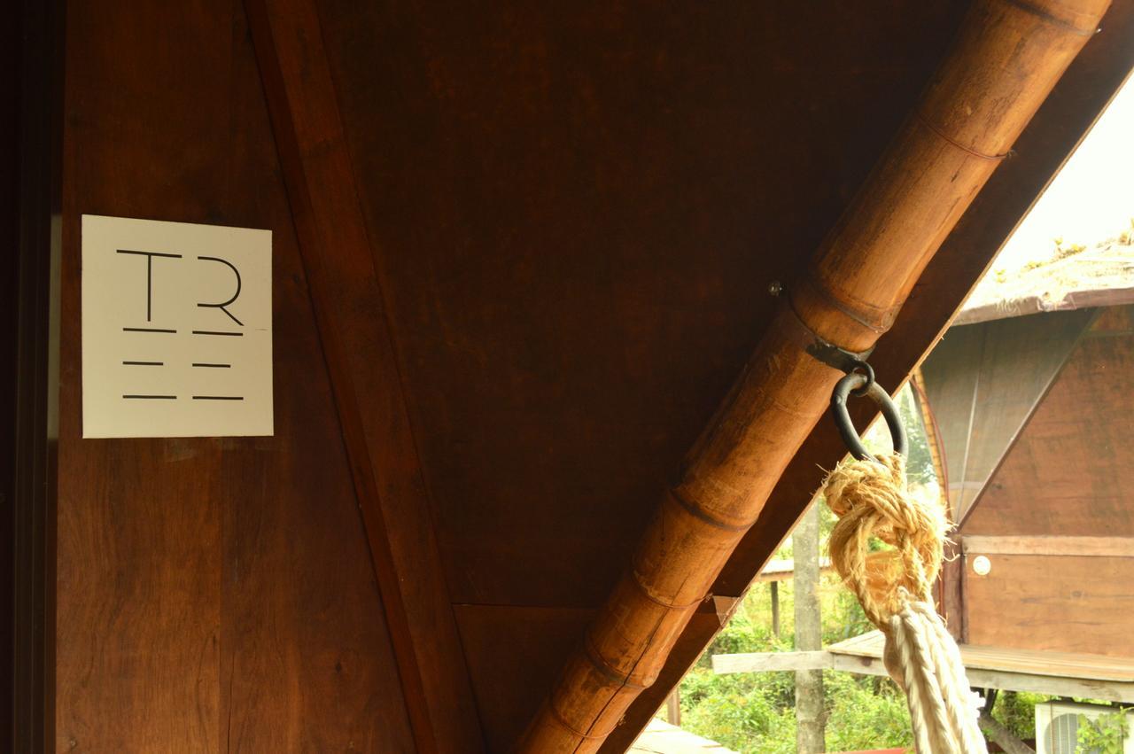 Tava Glamping Lago سان برناردينو المظهر الخارجي الصورة